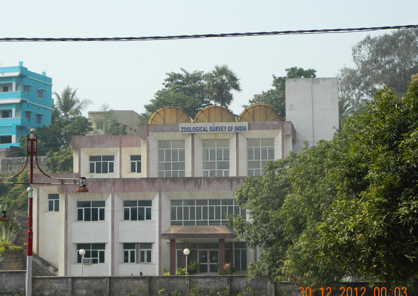 Zoological Survey of India, Gopalpur	
